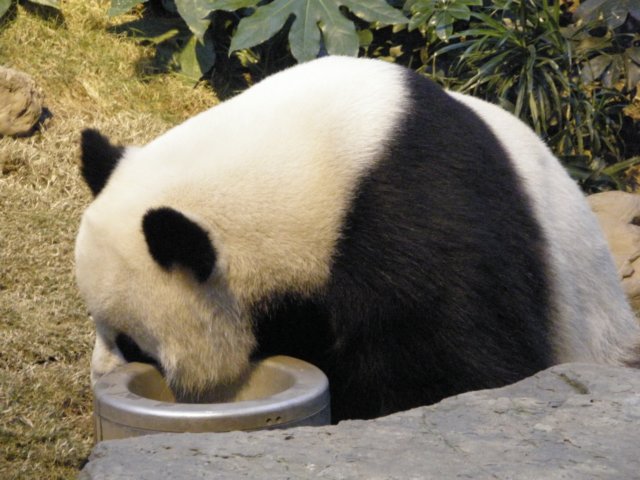 oceanpark1401200999.jpg