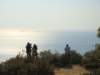 alammaisland16012009_small.jpg