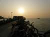 lammaisland1301200911_small.jpg