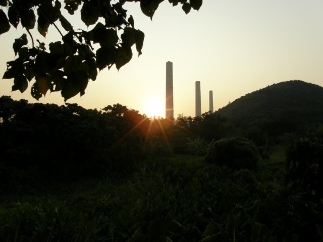 lammaisland1301200918.jpg