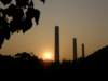lammaisland1301200919_small.jpg