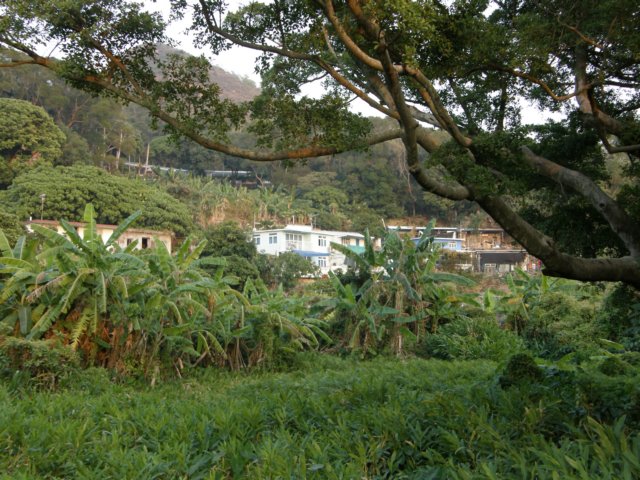 lammaisland1301200920.jpg