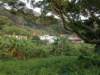 lammaisland1301200920_small.jpg