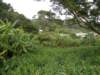 lammaisland1301200921_small.jpg
