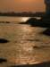 lammaisland1301200926_small.jpg
