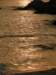 lammaisland1301200927_small.jpg