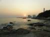 lammaisland1301200933_small.jpg