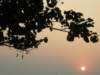 lammaisland1301200936_small.jpg