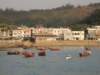 lammaisland130120096_small.jpg