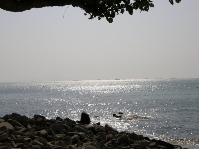lammaisland1601200910.jpg