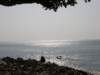 lammaisland1601200910_small.jpg