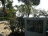 lammaisland1601200911_small.jpg