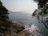 lammaisland1601200913_small.jpg