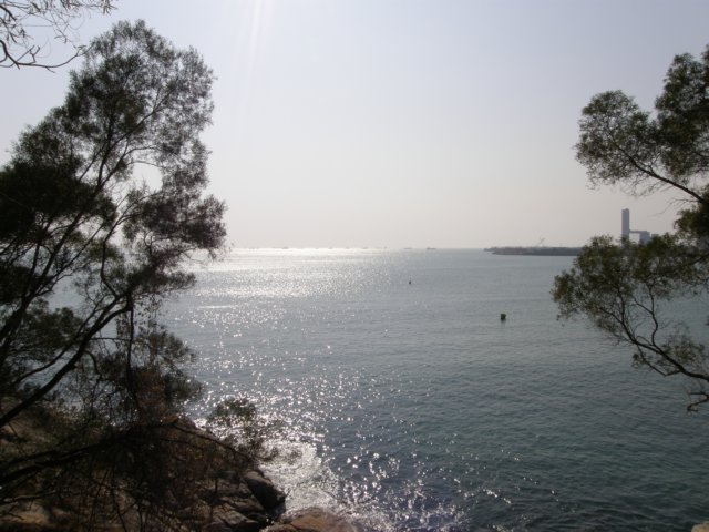 lammaisland1601200914.jpg