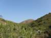 lammaisland1601200915_small.jpg