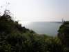 lammaisland1601200916_small.jpg