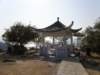 lammaisland1601200921_small.jpg