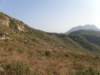 lammaisland1601200925_small.jpg