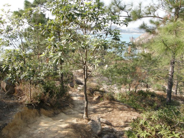 lammaisland1601200927.jpg