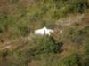 lammaisland1601200930_small.jpg