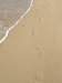 lammaisland1601200934_small.jpg
