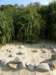 lammaisland1601200935_small.jpg