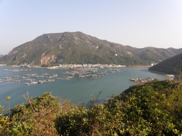 lammaisland1601200944.jpg