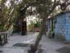 lammaisland1601200949_small.jpg