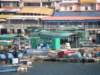 lammaisland1601200957_small.jpg