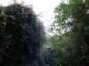 lammaisland1601200959_small.jpg