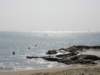 lammaisland160120096_small.jpg