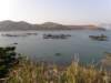 lammaisland1601200974_small.jpg