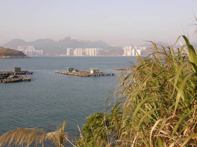 lammaisland1601200975.jpg