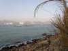 lammaisland1601200976_small.jpg