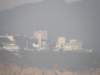lammaisland1601200979_small.jpg