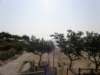 lammaisland160120097_small.jpg