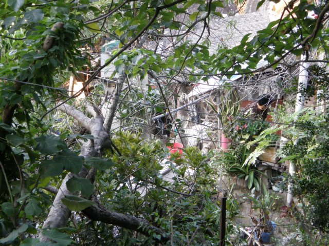 lammaisland1601200986.jpg