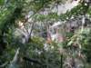 lammaisland1601200986_small.jpg