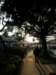 lammaisland1601200988_small.jpg