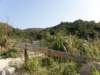 lammaisland160120099_small.jpg