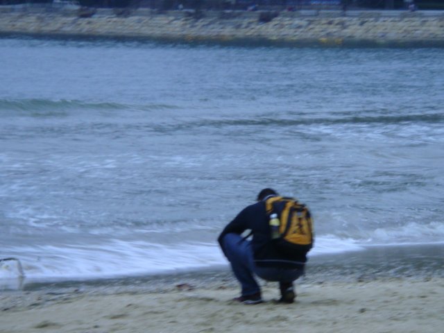 blantauislandmuiwo26122008.jpg