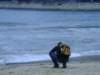 blantauislandmuiwo26122008_small.jpg