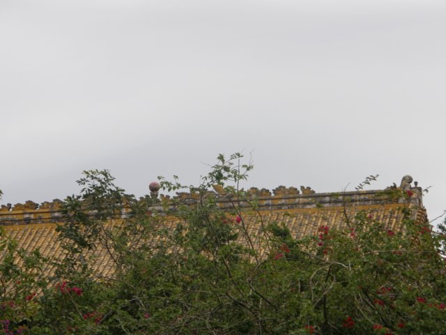 lantauisland2612200955.jpg