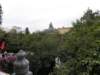 lantauisland2612200980_small.jpg
