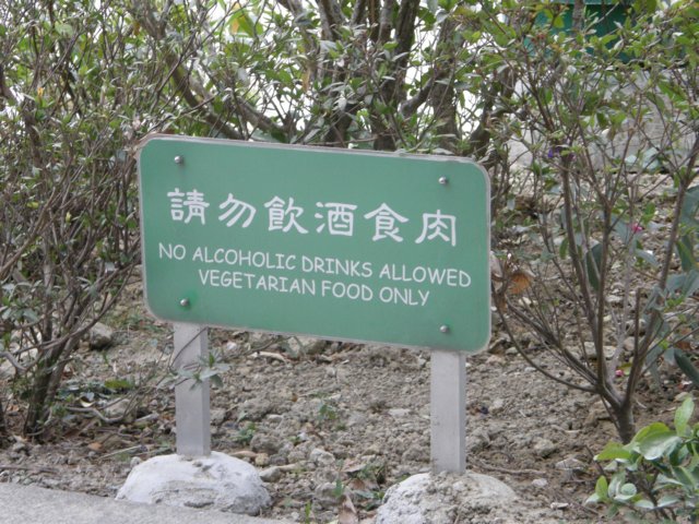 lantauisland2612200988.jpg