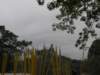 lantauisland2612200992_small.jpg