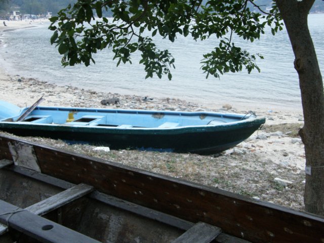 lantauislandmuiwo2612200810.jpg