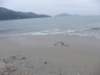 lantauislandmuiwo2612200818_small.jpg
