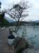lantauislandmuiwo261220084_small.jpg