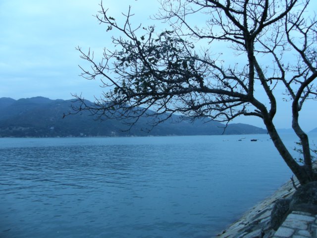 lantauislandmuiwo261220085.jpg
